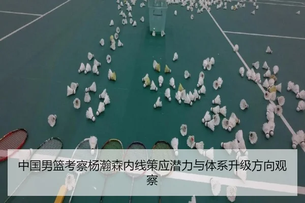 中国男篮考察杨瀚森内线策应潜力与体系升级方向观察
