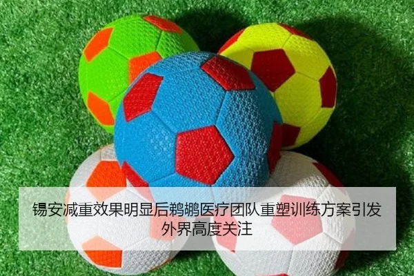 锡安减重效果明显后鹈鹕医疗团队重塑训练方案引发外界高度关注